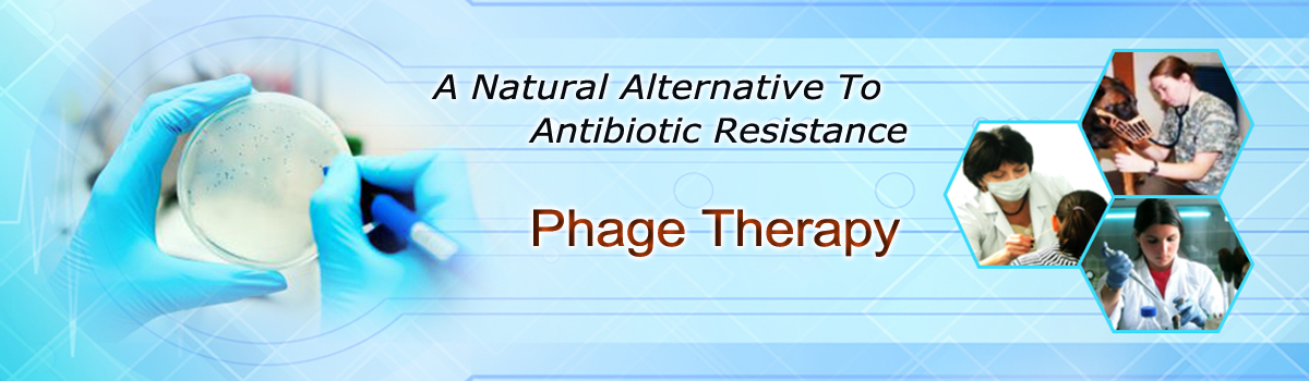 Phage therapy - a natural alternative to antibiotic resistance