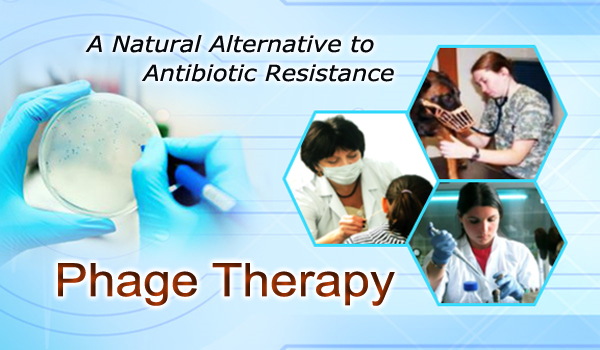 Phage therapy - a natural alternative to antibiotic resistance